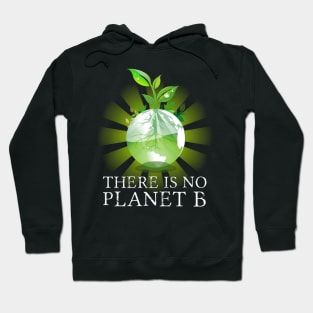 There Is No Planet B - Climate Change Action Hoodie